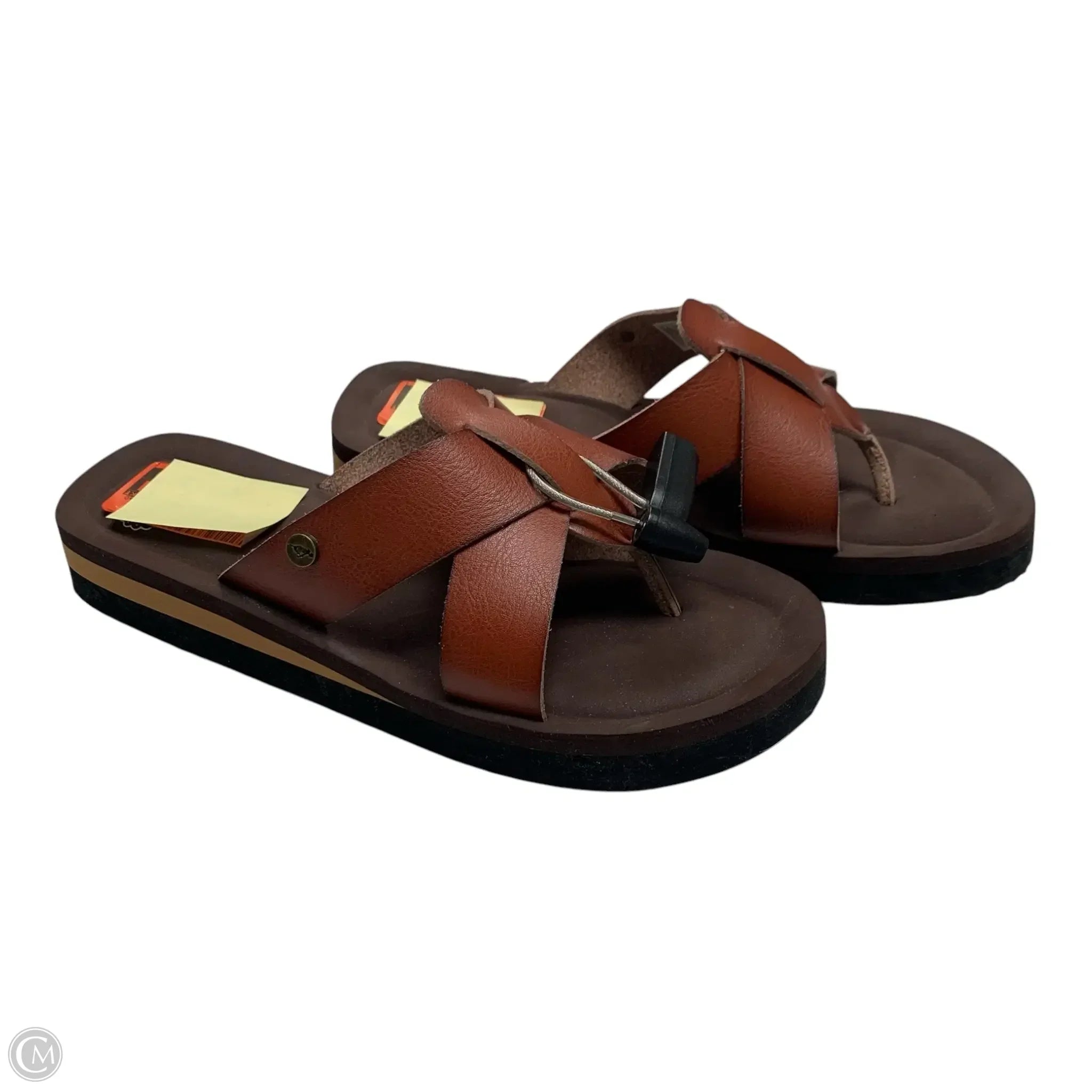 Sandals Flip Flops By Rocket Dogs In Brown, Size: 8